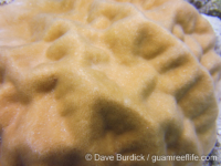 Porites lutea